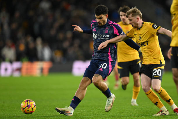 他便利用自 他便利用自